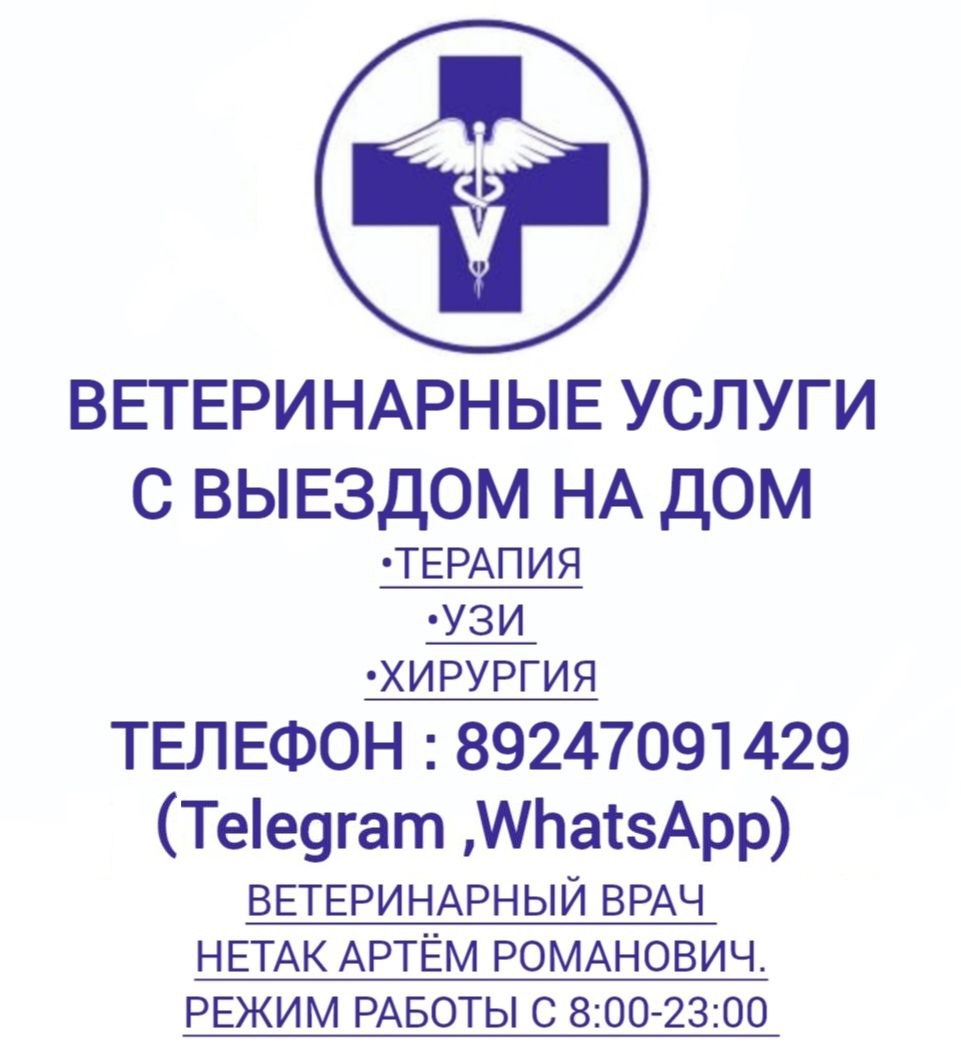 Ветеринарный врач УЗИ выезды