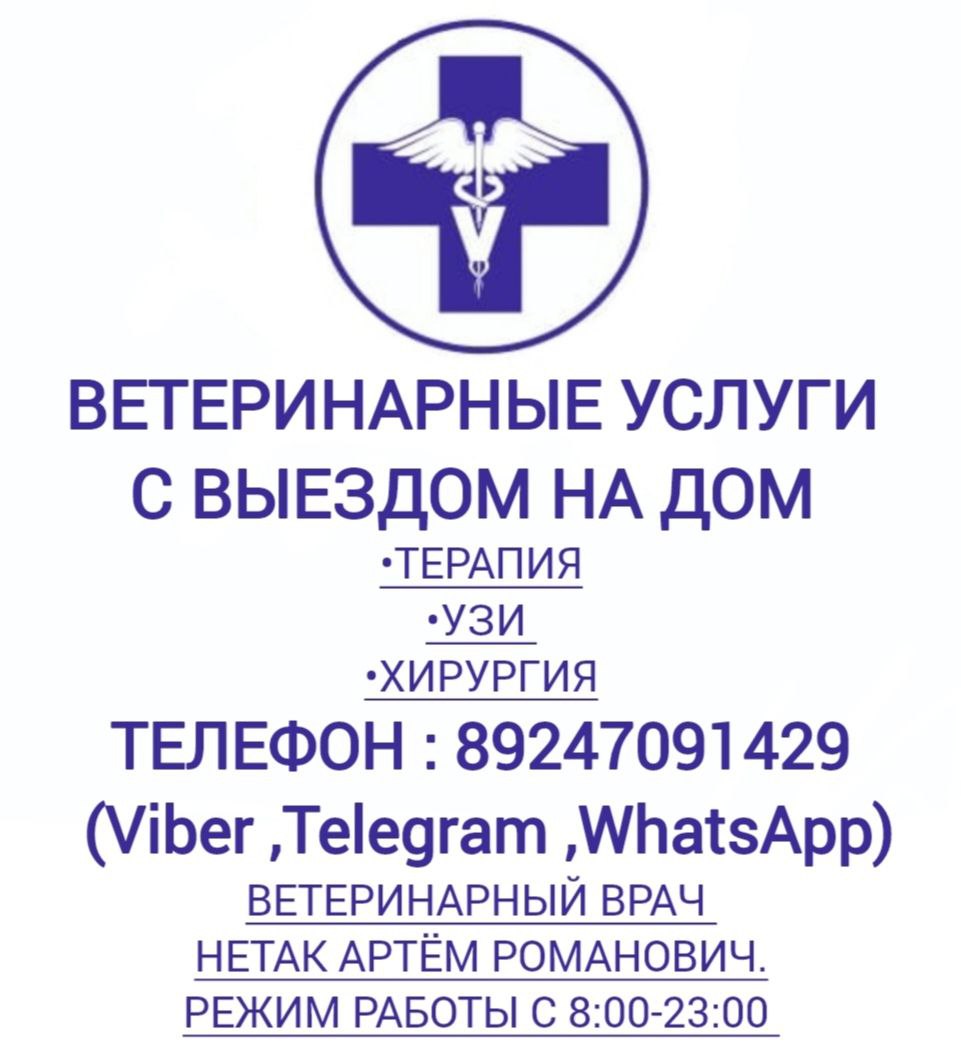 Ветеринарный врач УЗИ выезды
