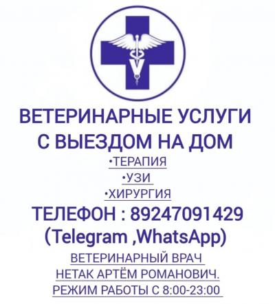 Демо объявление